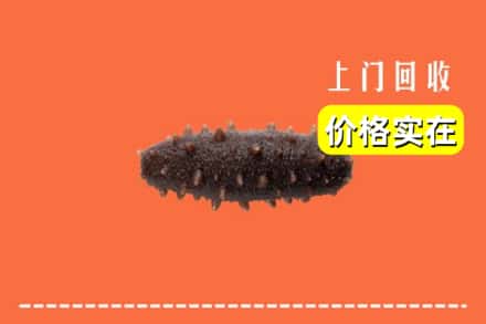 收购资讯:沈阳市铁西回收海参
