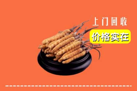 沈阳市铁西回收冬虫夏草