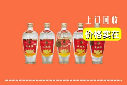 沈阳市铁西回收老五粮液